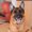Photo of Abbie M.