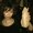 Photo of Maira S.