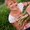 Photo of Michelle G.