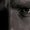 Photo of Gabor E.