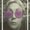 Photo of Teena C.