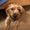 Photo of Brina 7.