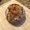 Photo of Epple O.