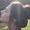 Photo of Keyanah S.