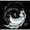 Photo of Qype User (manuma…)