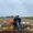 Photo of Melody S.