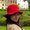 Photo of Linh N.