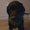 Photo of Johnathan S.