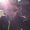 Photo of Fan Z.