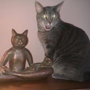 google avatar