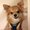 Photo of Rinko L.