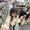Photo of Rocio M.