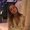 Photo of Alexandra S.