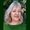Photo of Alice C.