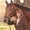 Photo of Amy S.