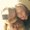 Photo of Cherie L.