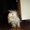 Photo of ladytiger m.