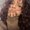 Photo of Vanessa D.
