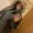 Photo of Jerilyn D.