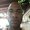 Photo of Shawn S.