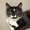 Photo of Suzi F.