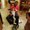 Photo of Darius M.