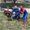 Photo of ElvisKnight86 P.