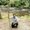 Photo of Usman H.