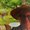 Photo of Wendy H.