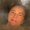 Photo of Jeanette R.