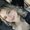Photo of katrina b.