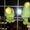 Photo of Gpe. G.