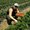 Photo of Thuan H.