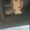 Photo of Evangelina R.