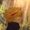 Photo of Ricari S.