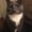 Photo of H B.