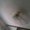Photo of PoorFish F.