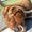 Photo of Qype User (jojo12…)