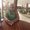 Photo of Andrea S.