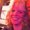 Photo of Sharon H.