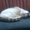 Photo of Qype User (günthe…)