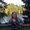 Photo of Karin N.