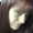 Photo of Jennifer T.