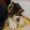 Photo of Cat L.