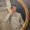 Photo of Aiden H.