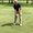 Photo of Steve U.