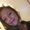 Photo of Alli R.