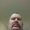 Photo of Scott R.