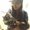 Photo of Quynh N.