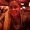 Photo of Dawn H.